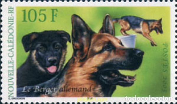 Sellos: 137692 MNH NUEVA CALEDONIA 2003 PERROS
