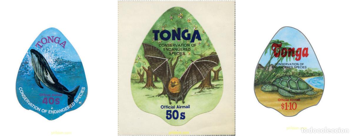 Sellos: 147488 MNH TONGA 1978 FAUNA PROTEGIDA