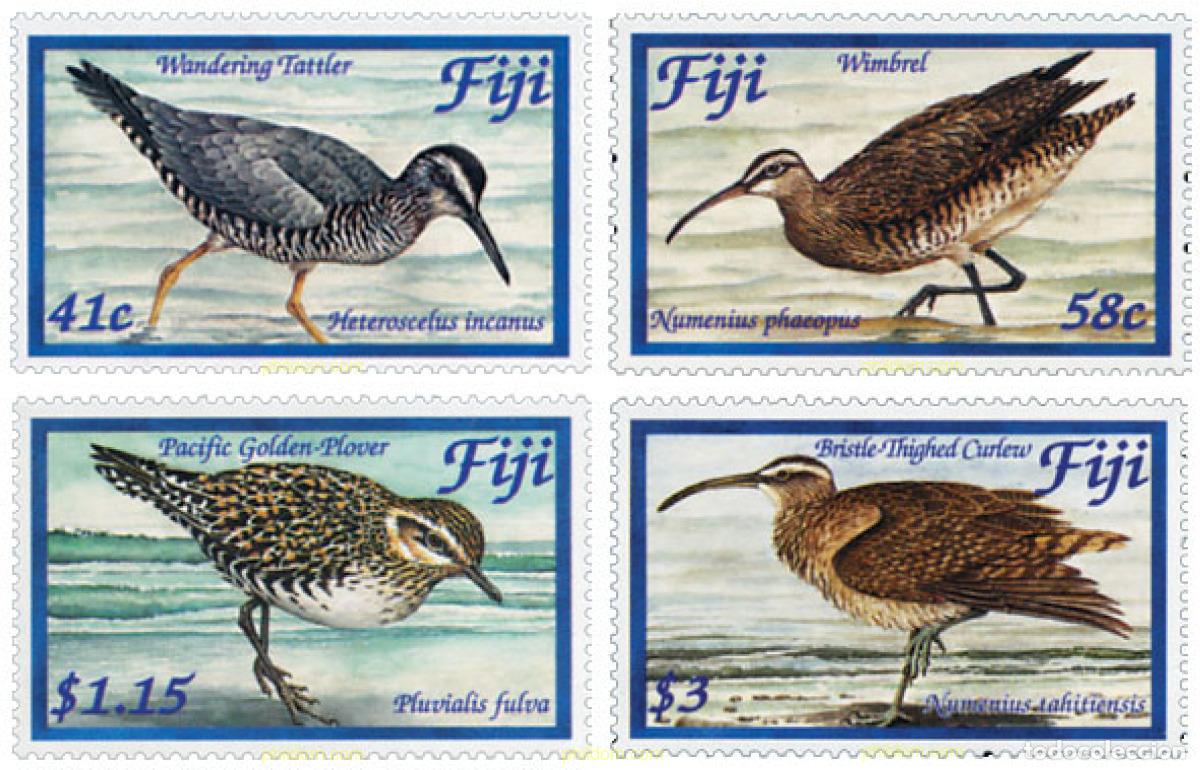 Sellos: 149451 MNH FIJI 2004 AVES ACUATICAS