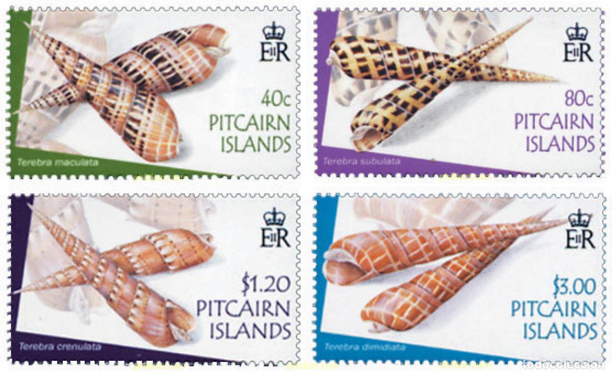Sellos: 154652 MNH PITCAIRN Islas 2004 CONCHAS - Foto 1