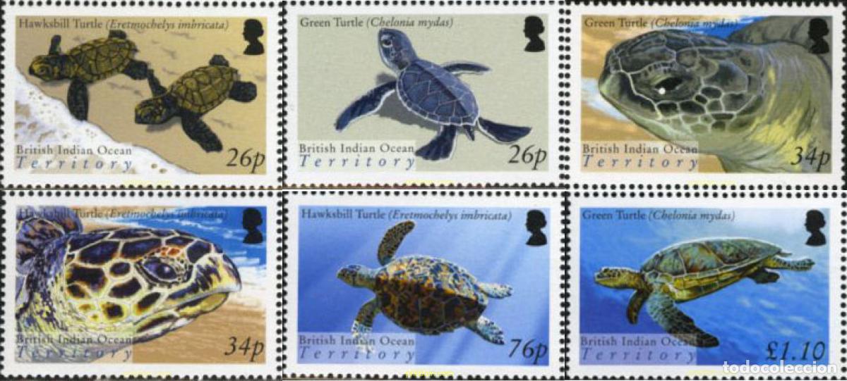 Sellos: 155059 MNH OCEANO INDICO BRITANICO 2005 TORTUGAS MARINAS