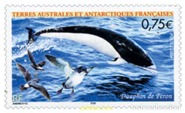 Sellos: 155211 MNH ANTARTIDA FRANCESA 2004 FAUNA ANTARTICA