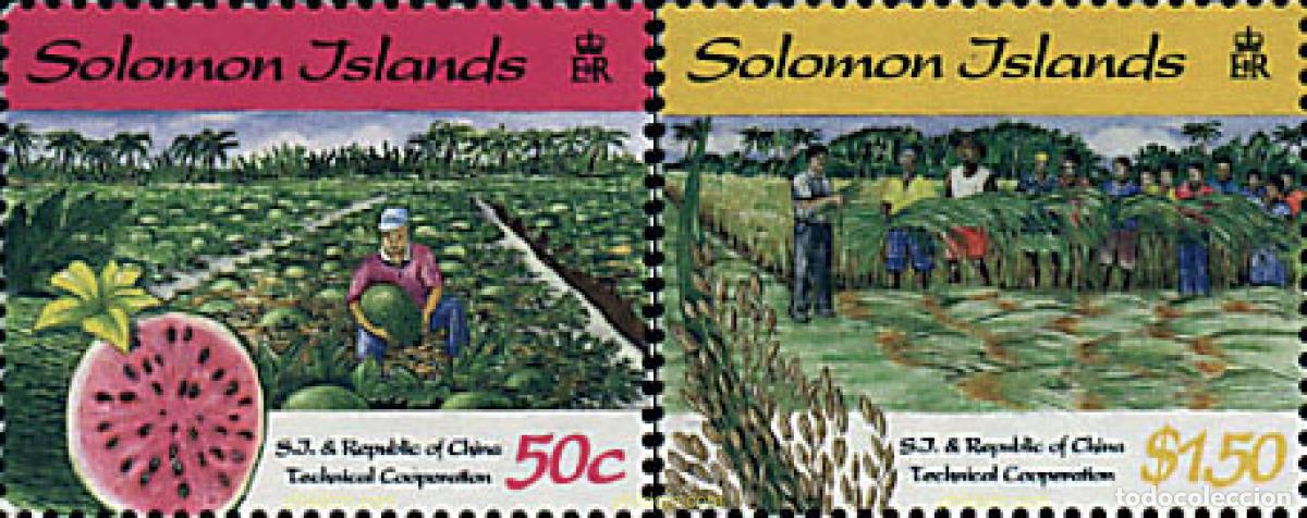 Sellos: 93090 MNH SALOMON 1998 COOPERACION TECNICA DE CHINA