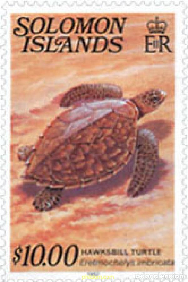 Sellos: 45340 MNH SALOMON 1982 TORTUGA MARINA