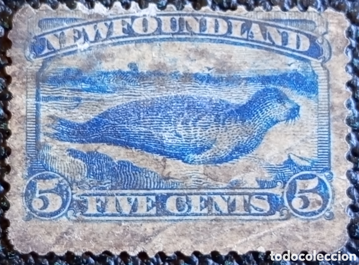 Sellos: Sello Terranova Foca 5c Azul 1880 Victoria Canada Cat Michel #42,51,54 Usado