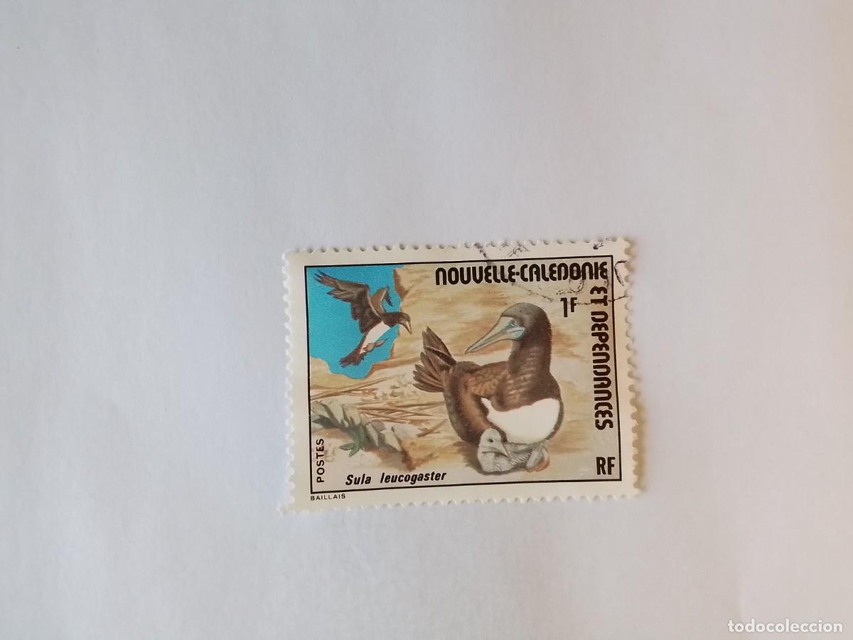 Sellos: A&Ntilde;O 1976 NUEVA CALEDONIA SELLO USADO