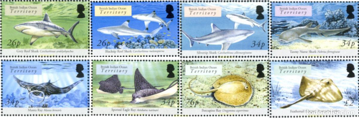 Sellos: 160062 MNH OCEANO INDICO BRITANICO 2005 FAUNA MARINA