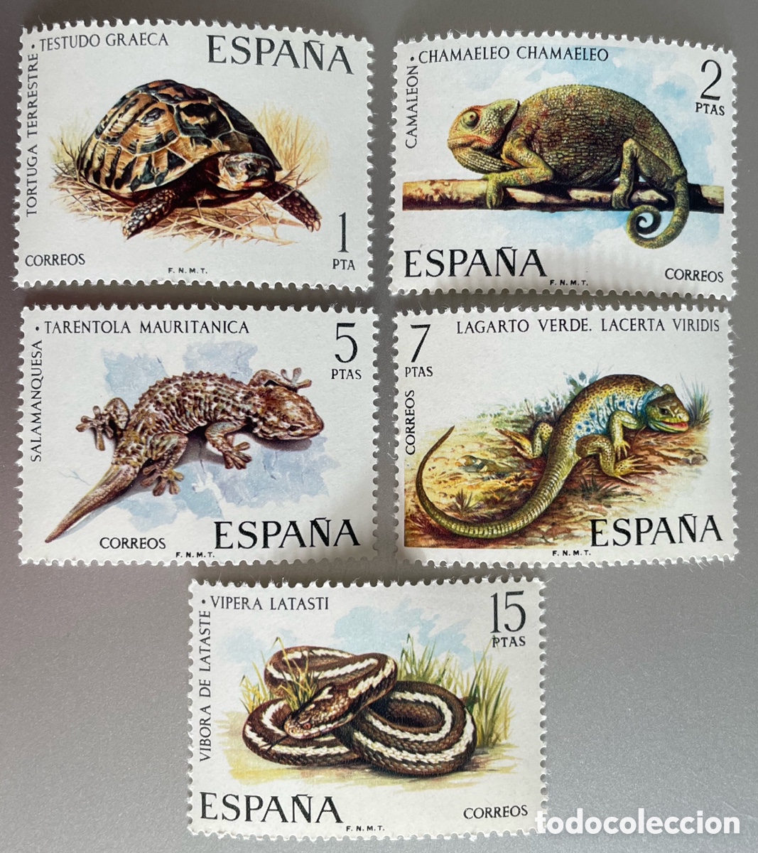 Sellos: Espa&ntilde;a. Fauna. Reptiles. 1974 - Foto 1