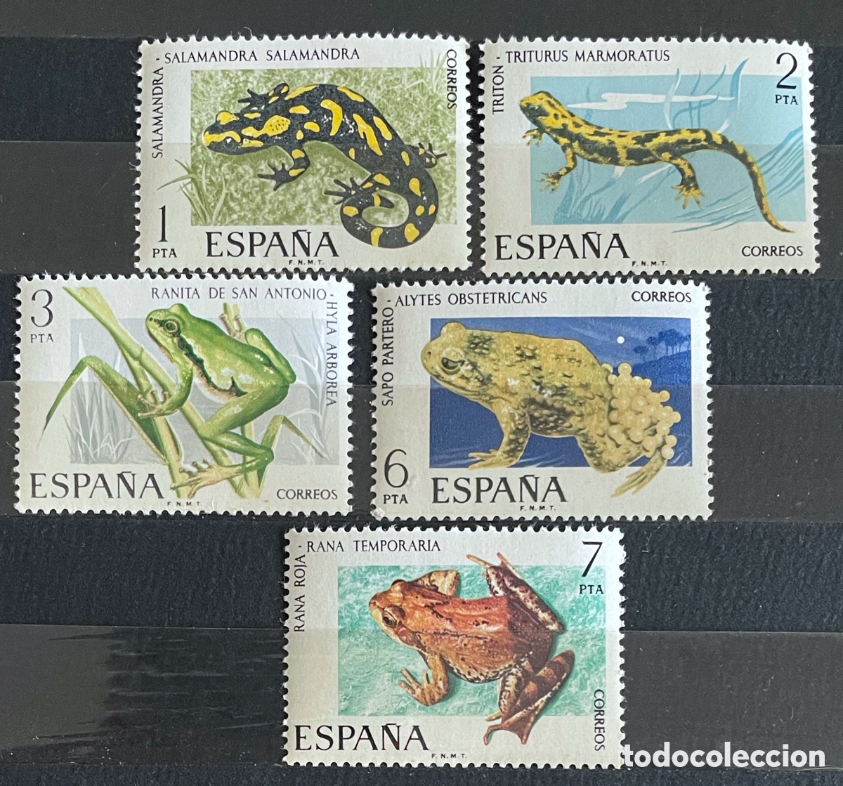 Sellos: Espa&ntilde;a. Fauna. Anfibios. 1975 - Foto 1