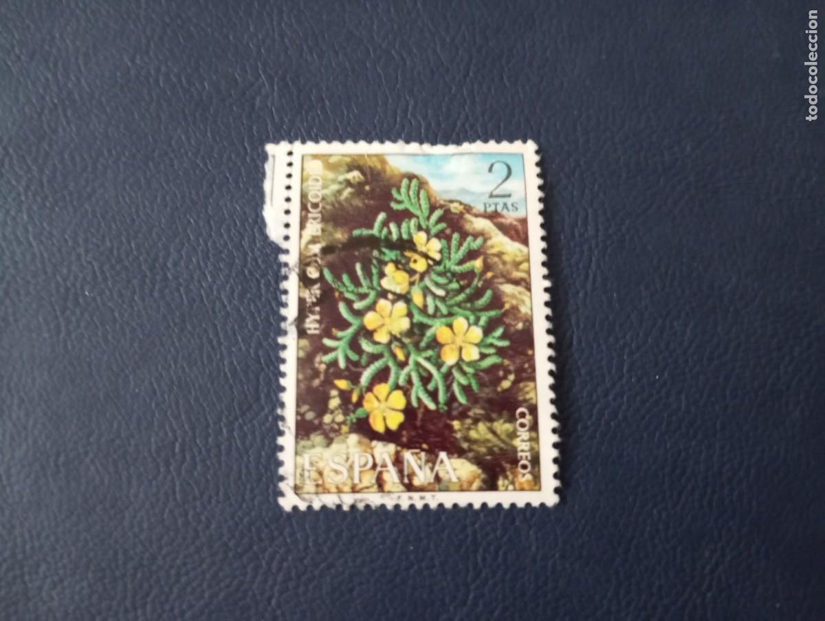 Sellos: ESPA&Ntilde;A, 1974, FLORA, HYPERICUM ERICOIDES - Foto 1