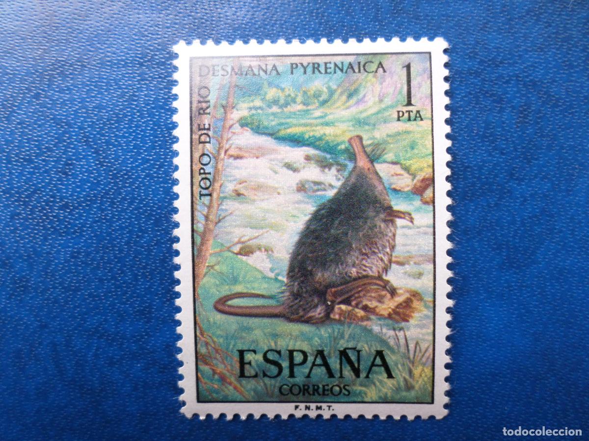 Timbres: 1972, fauna hispanica, topo de agua, edifil 2102