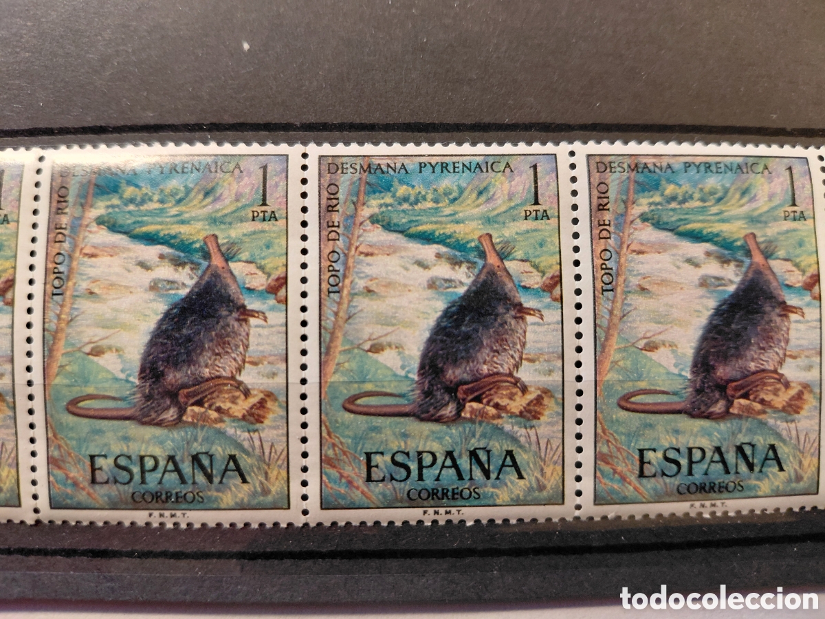 Sellos: Bloque 5x1 pta Topo de rio 1972 - Foto 2