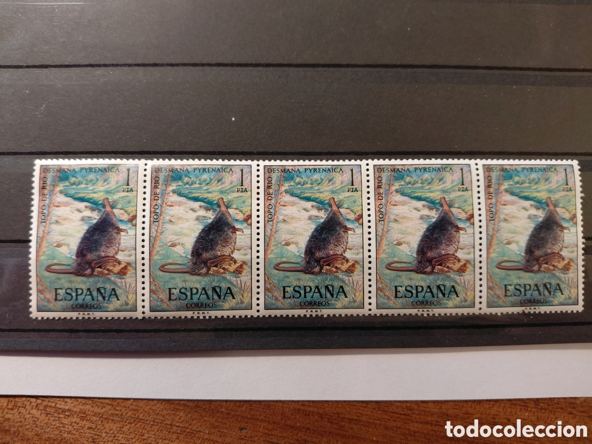 Sellos: Bloque 5x1 pta Topo de rio 1972 - Foto 1