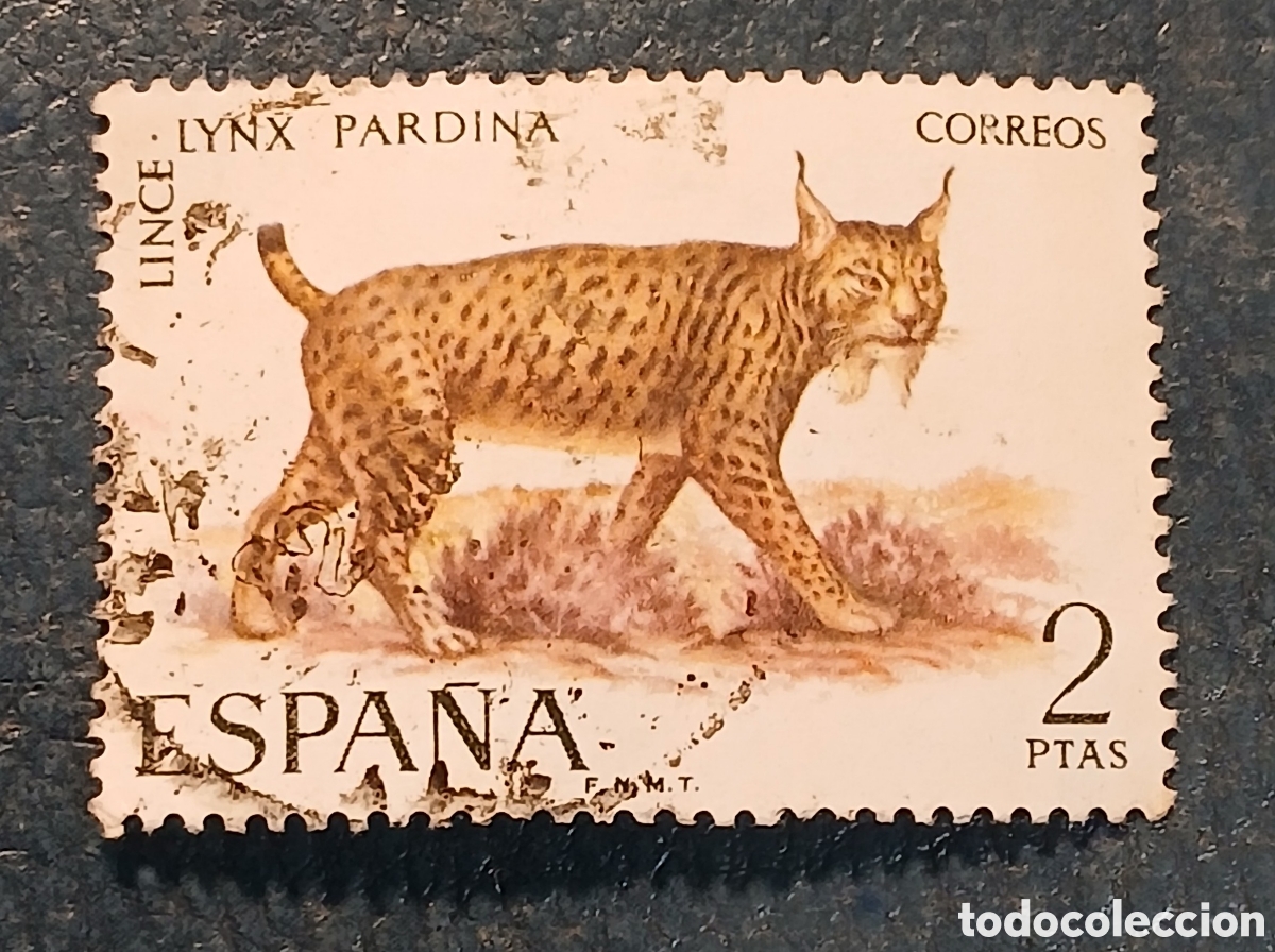 Sellos: 1 sello Espa&ntilde;a 1971. Fauna hisp&aacute;nica. Lince