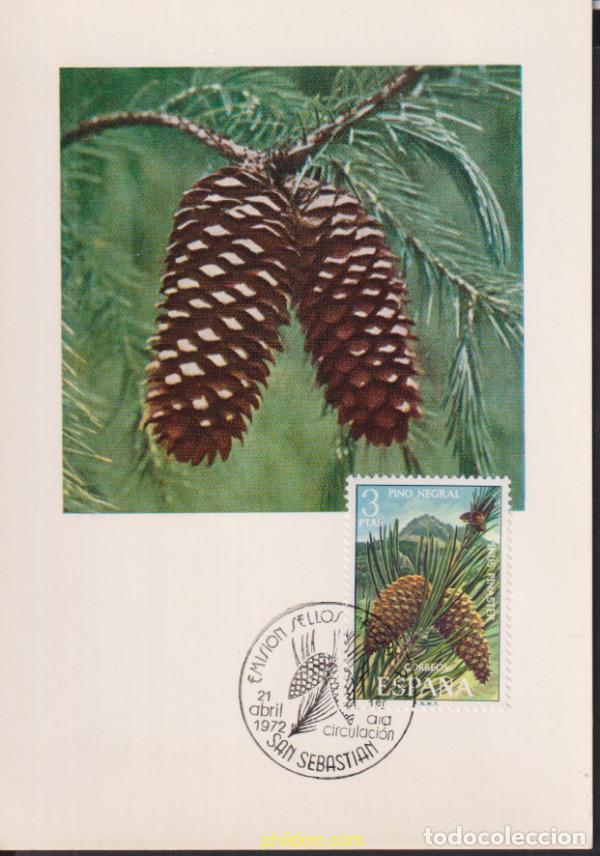 Sellos: 615538 MNH ESPA&Ntilde;A 1972 FLORA - Foto 1