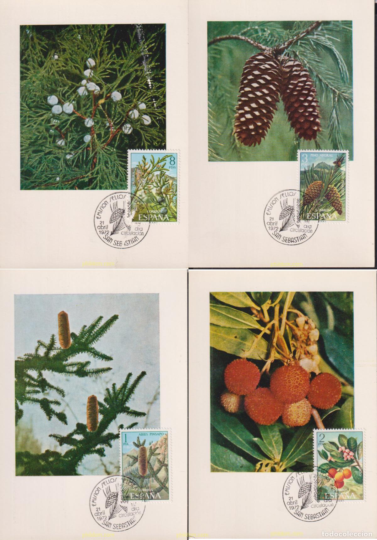 Sellos: 615539 MNH ESPA&Ntilde;A 1972 FLORA - Foto 1