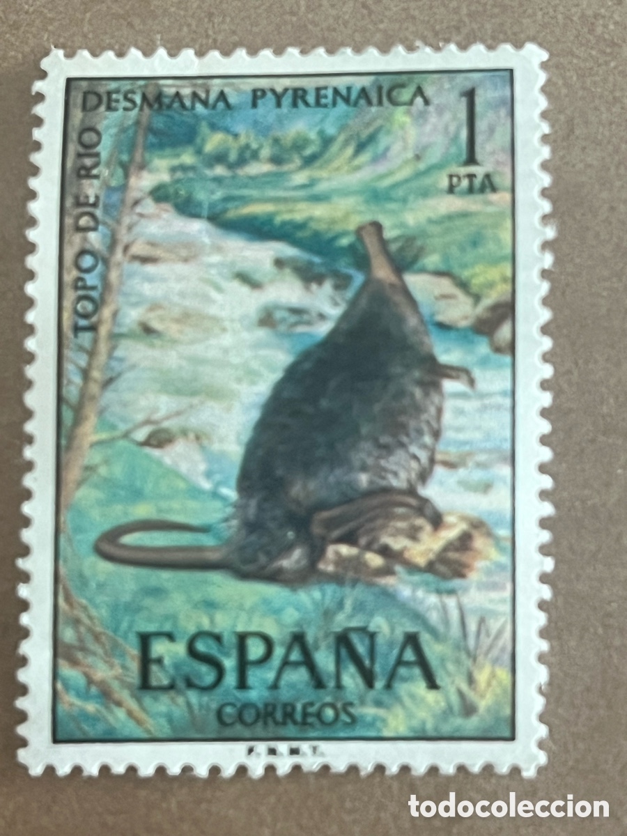 Sellos: Sello Espa&ntilde;a - Fauna: Desm&aacute;n de los Pirineos / Topo de r&iacute;o (1 pta)