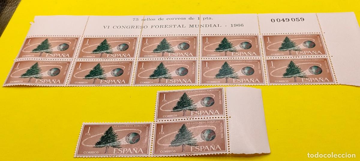 Sellos: Espa&ntilde;a 1966. Edifil 1736. VI Congreso forestal mundial. Bloque de 10 y 3