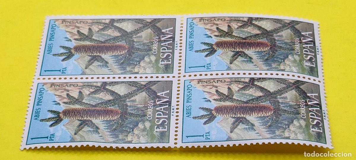 Sellos: Espa&ntilde;a 1972. Edifil 2085. Flora. Pinsapo. Nuevos. Bloque de 4