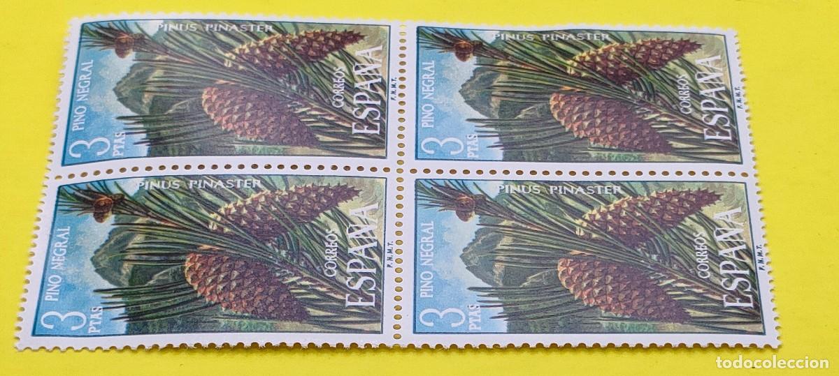 Sellos: Espa&ntilde;a 1972. Edifil 2087. Flora. Pino negral. Nuevos. Bloque de 4