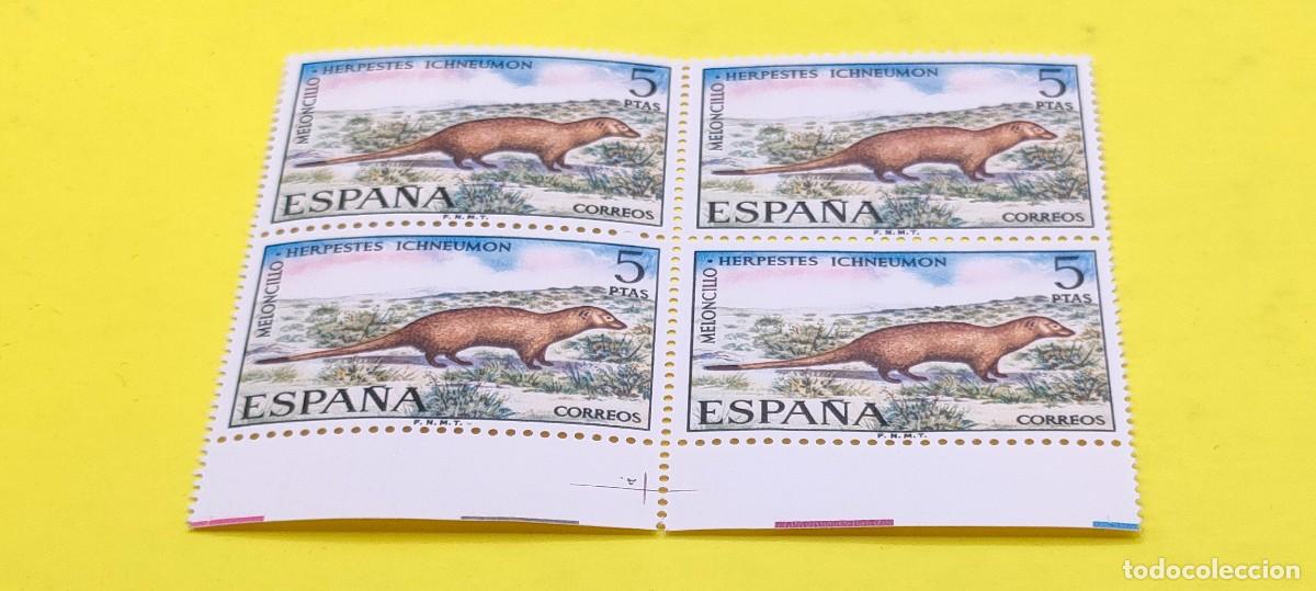 Sellos: Espa&ntilde;a 1972. Edifil 2105. Fauna hisp&aacute;nica. Meloncillo. Nuevos. Bloque de 4