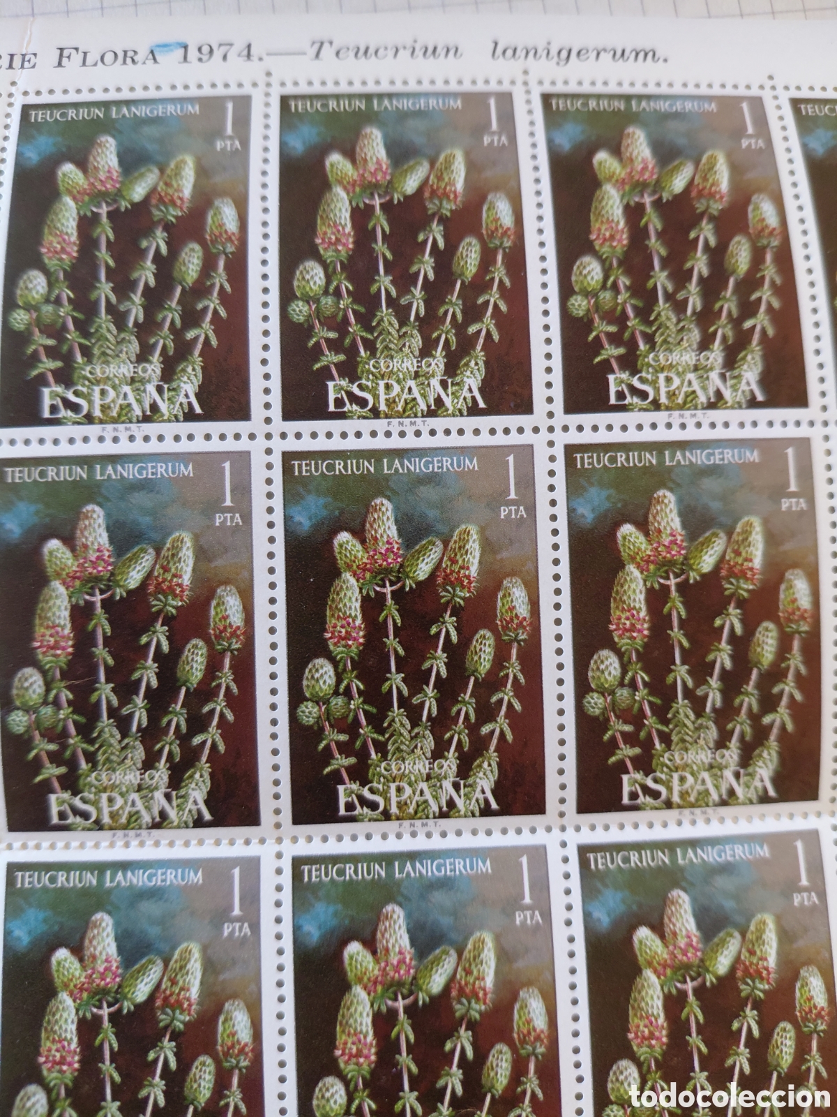 Sellos: Pliego 80x1 pts serie Flora Teucriun 1974