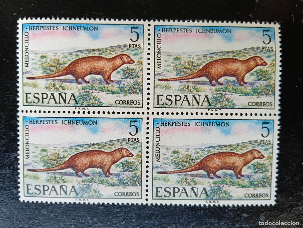 Sellos: Espa&ntilde;a 1972 - Edifil 2105 - Fauna hisp&aacute;nica. Meloncillo - Bloque de 4