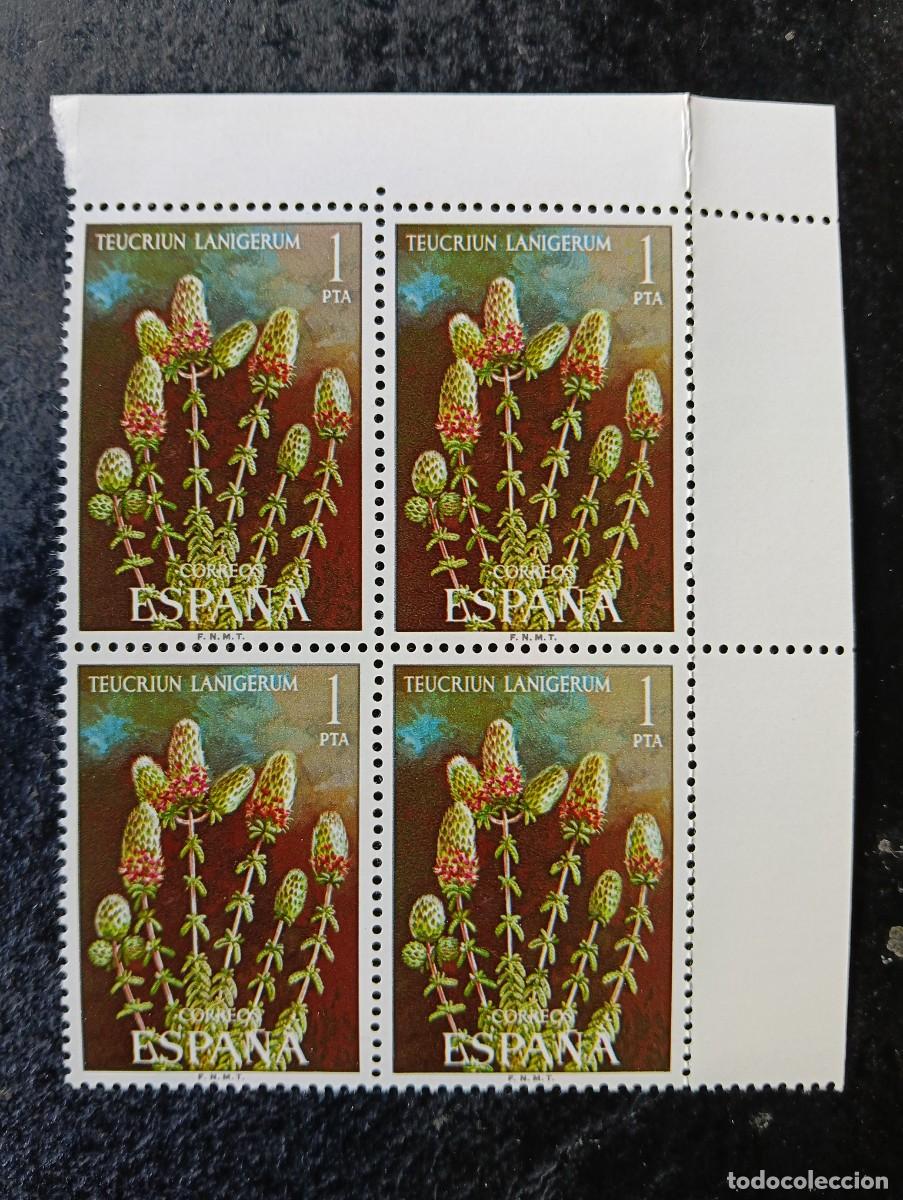 Sellos: ESPA&Ntilde;A 1974 - FLORA -TEUCRIUM LANIGERUM - EDIFIL 2220 - bloque de 4