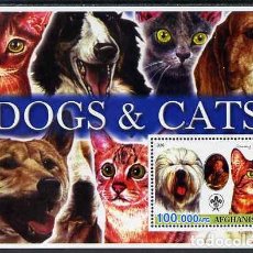Sellos: AFGHANISTAN 2003 SHEET MNH BADEN POWELL SCOUTS PERROS CHIENS DOGS HUNDEN GATOS CHATS CATS KATZEN. Lote 338251058