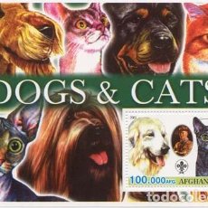 Sellos: AFGHANISTAN 2003 SHEET MNH BADEN POWELL SCOUTS PERROS CHIENS DOGS HUNDEN GATOS CHATS CATS KATZEN. Lote 338251818