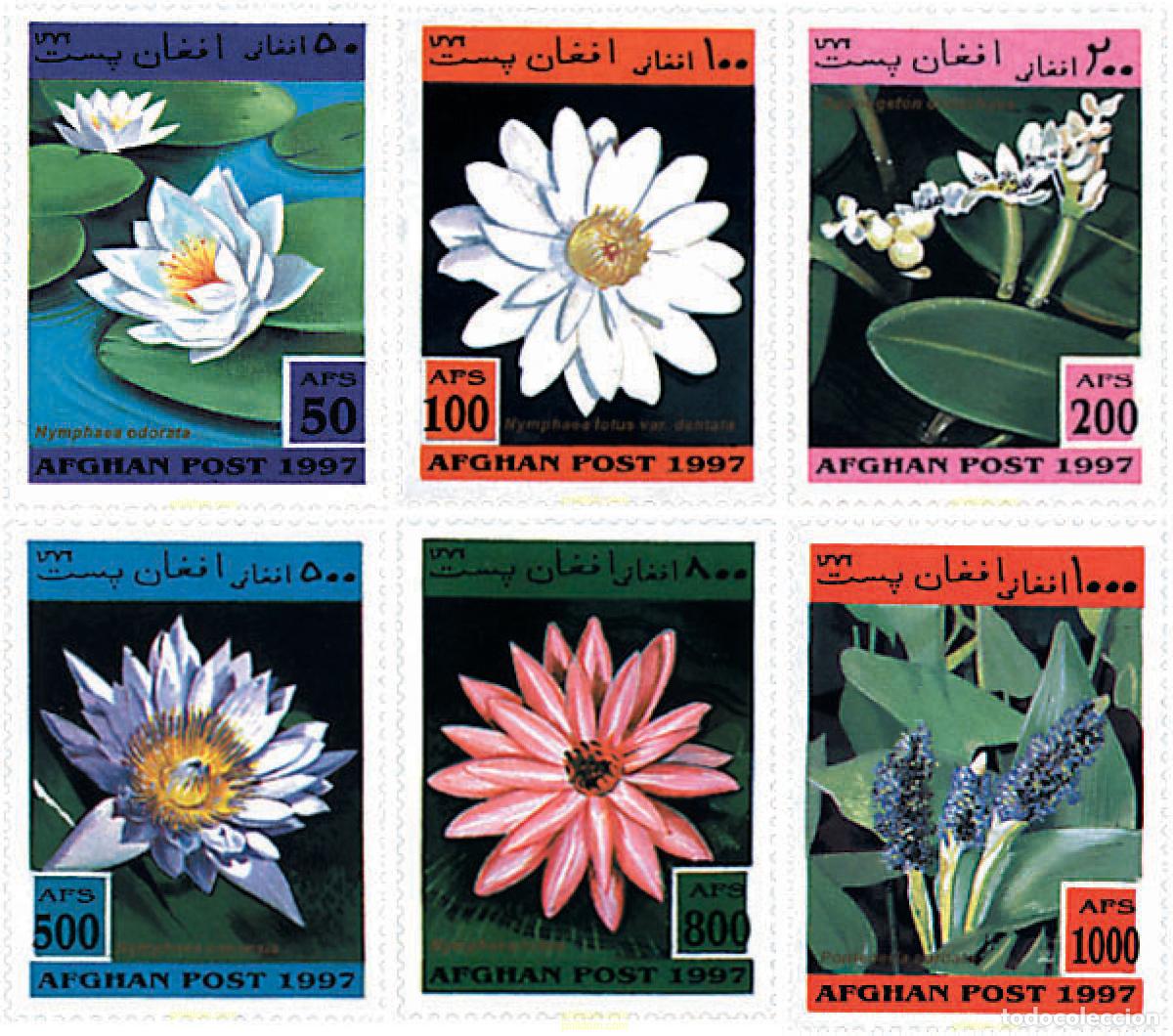 Sellos: 78838 MNH AFGANISTAN 1997 FLORES ACUATICAS
