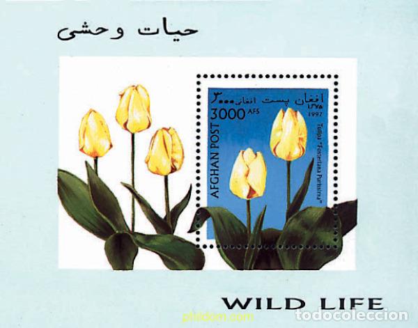 Sellos: 99237 MNH AFGANISTAN 1997 TULIPANES