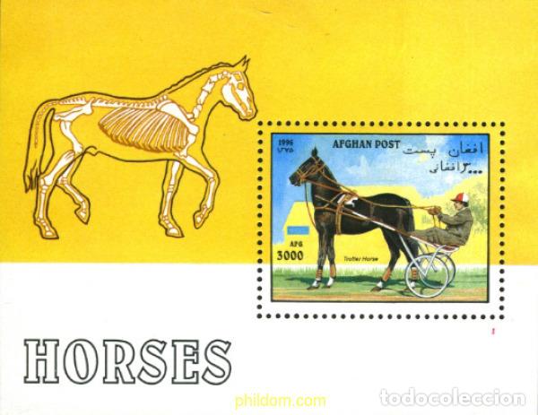 Stamps: 98487 MNH AFGANISTAN 1996 CABALLOS