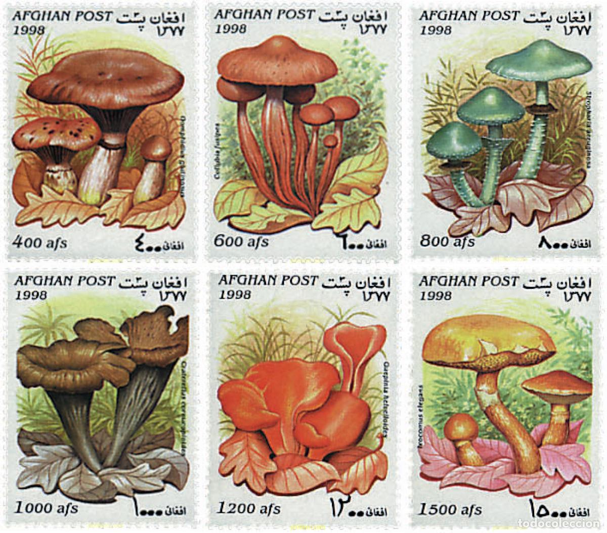 Selos: 37374 MNH AFGANISTAN 1998 SETAS