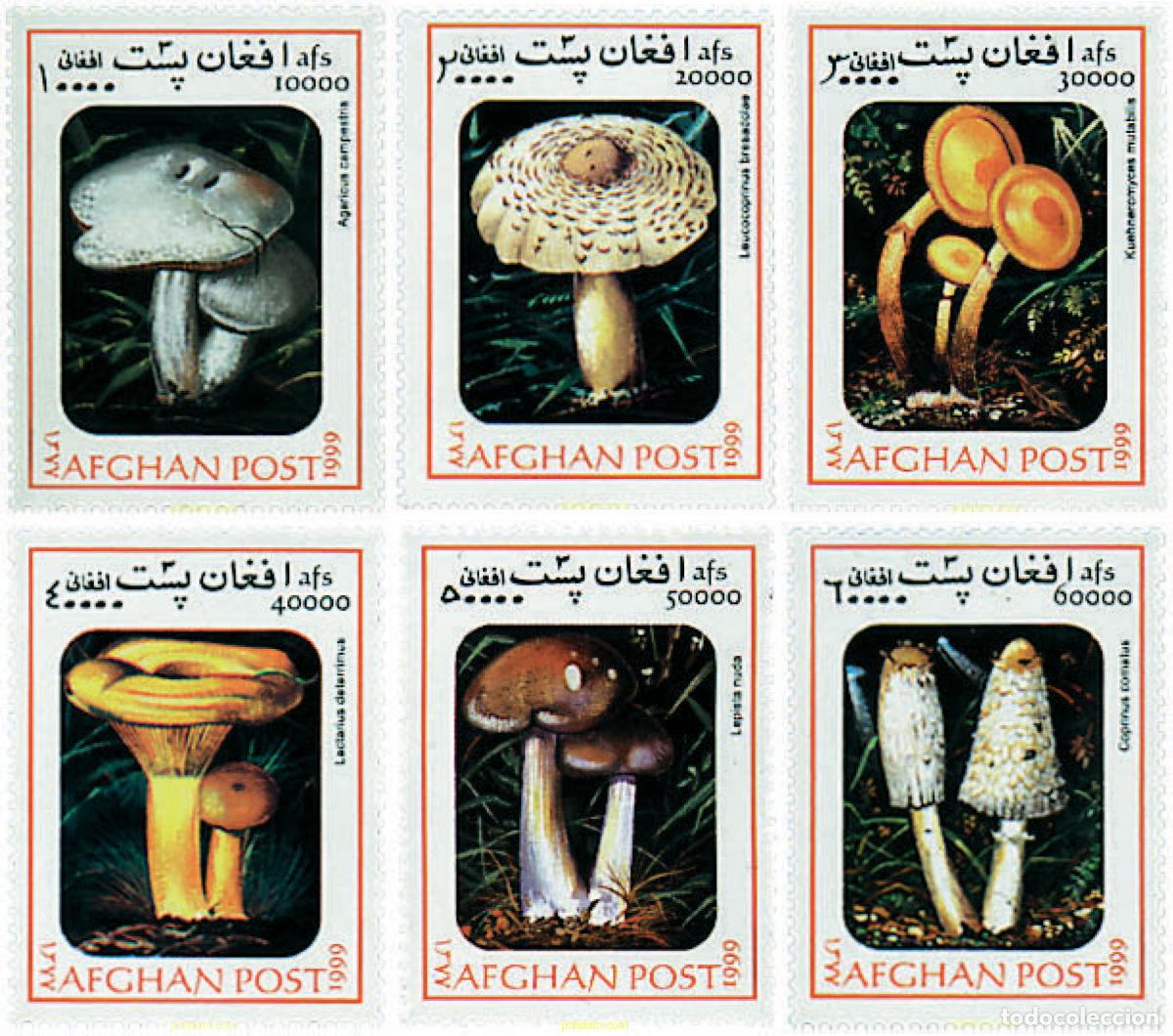 Sellos: 99494 MNH AFGANISTAN 1999 SETAS