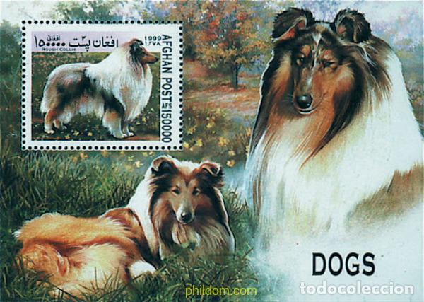 Sellos: 99495 MNH AFGANISTAN 1999 PERROS DE RAZA