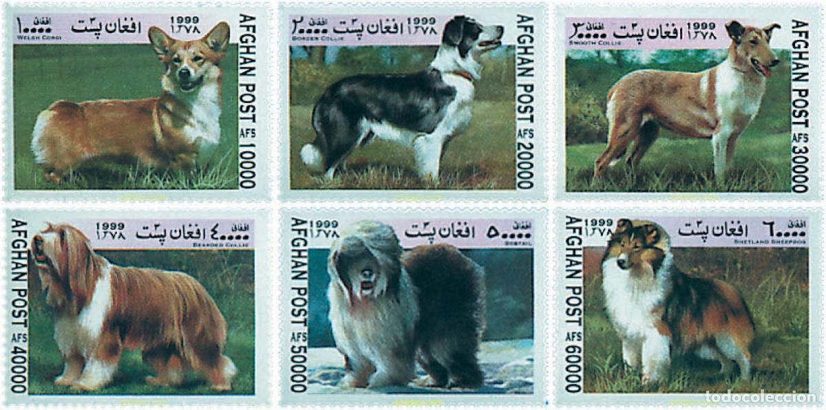 Sellos: 99496 MNH AFGANISTAN 1999 PERROS DE RAZA