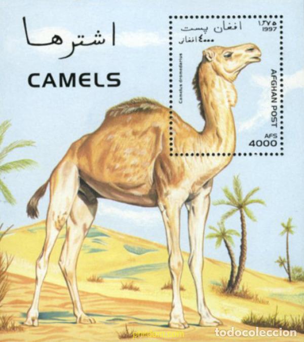 Stamps: 47353 MNH AFGANISTAN 1997 CAMELLO.