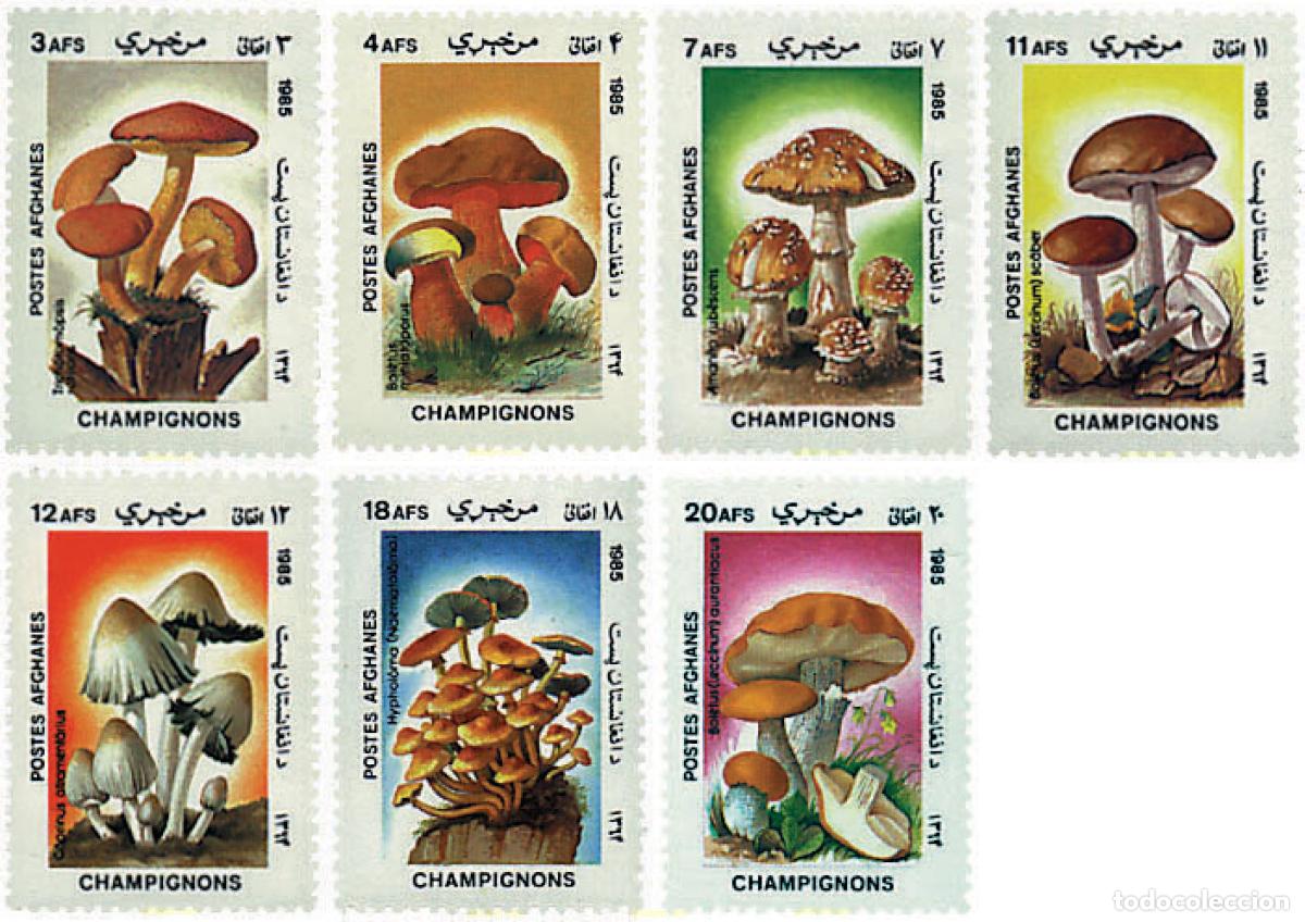 Selos: 37381 MNH AFGANISTAN 1985 SETAS