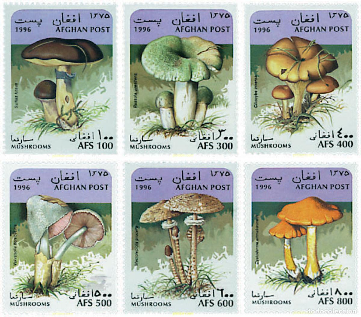 Selos: 34901 MNH AFGANISTAN 1996 SETAS