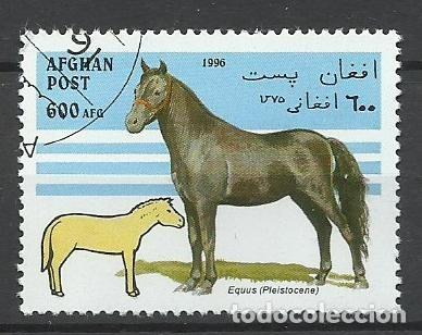 Sellos: SELLO DE AFGANISTAN - 1996 - N&ordm; 3 - BUEN PRECIO - FOTO