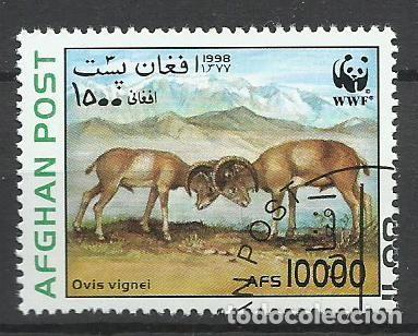 Sellos: SELLO DE AFGANISTAN - 1998 - N&ordm; 2 - WWF - BUEN PRECIO - FOTO
