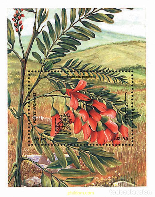Briefmarken: 97899 MNH AFGANISTAN 1985 ARGENTINA 85. EXPOSICION FILATELICA INTERNACIONAL