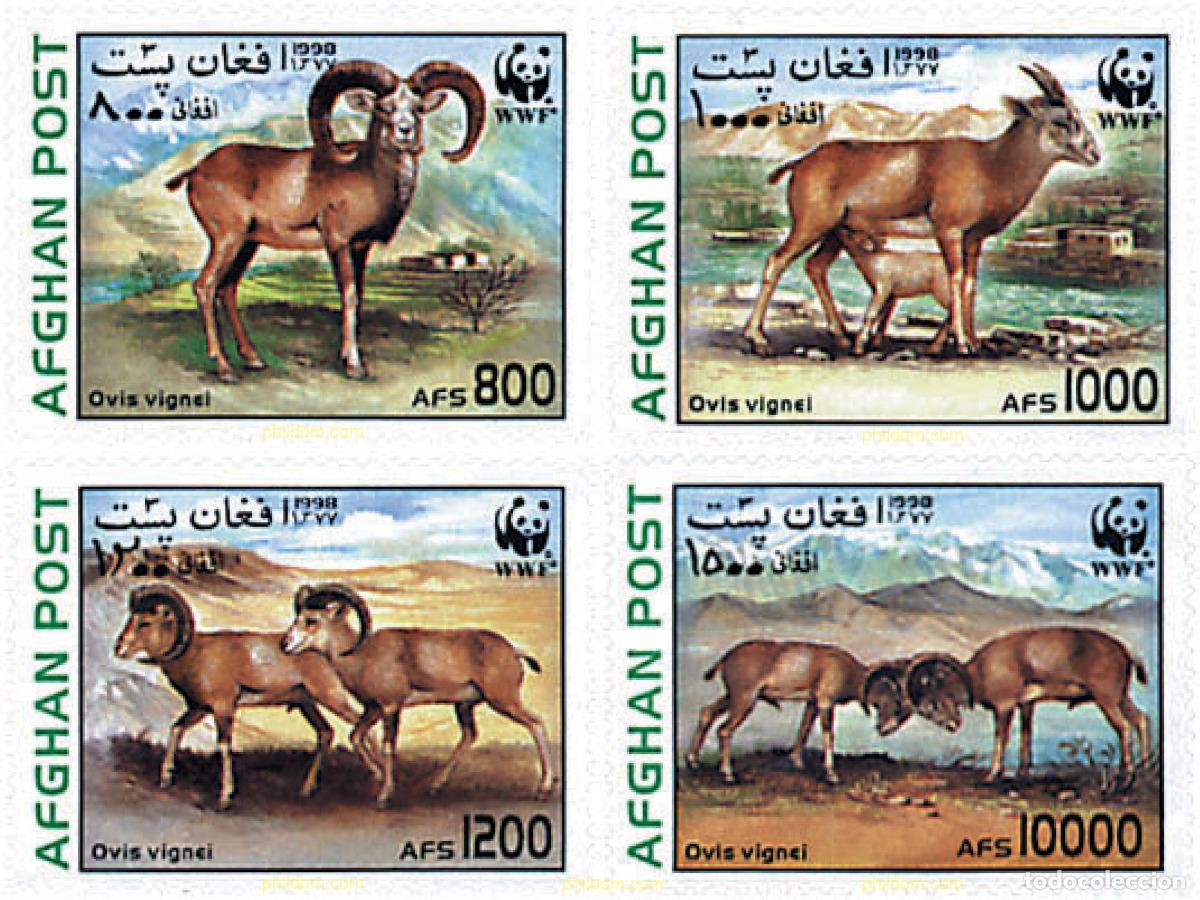 Sellos: 99480 MNH AFGANISTAN 1998 URIAL