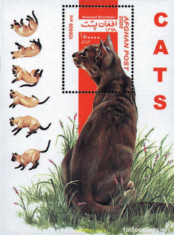 Sellos: 99521 MNH AFGANISTAN 2000 GATOS