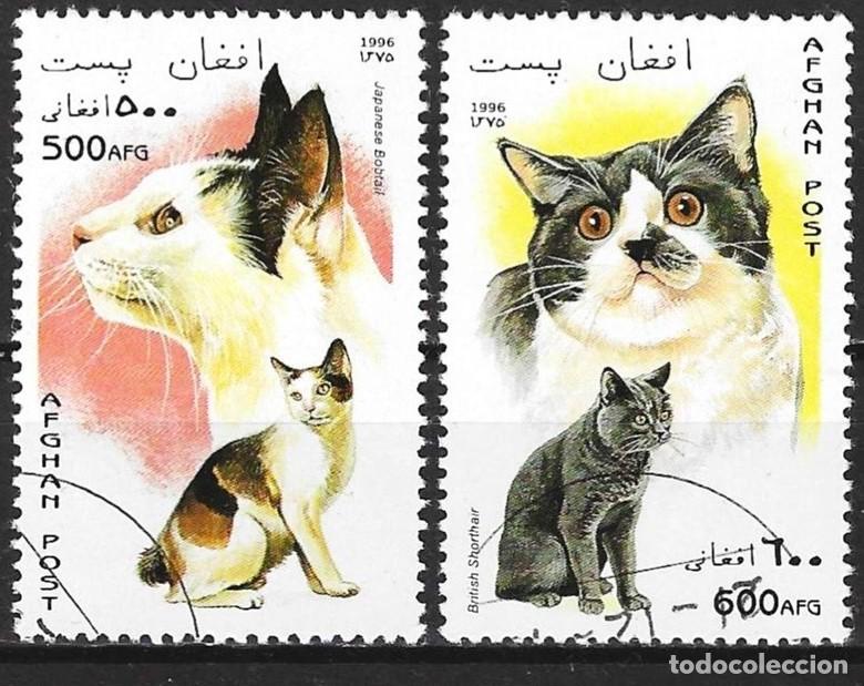 Sellos: Afganist&aacute;n 1996 - Mi xxx - YT 1507 & 1508 - Gatos