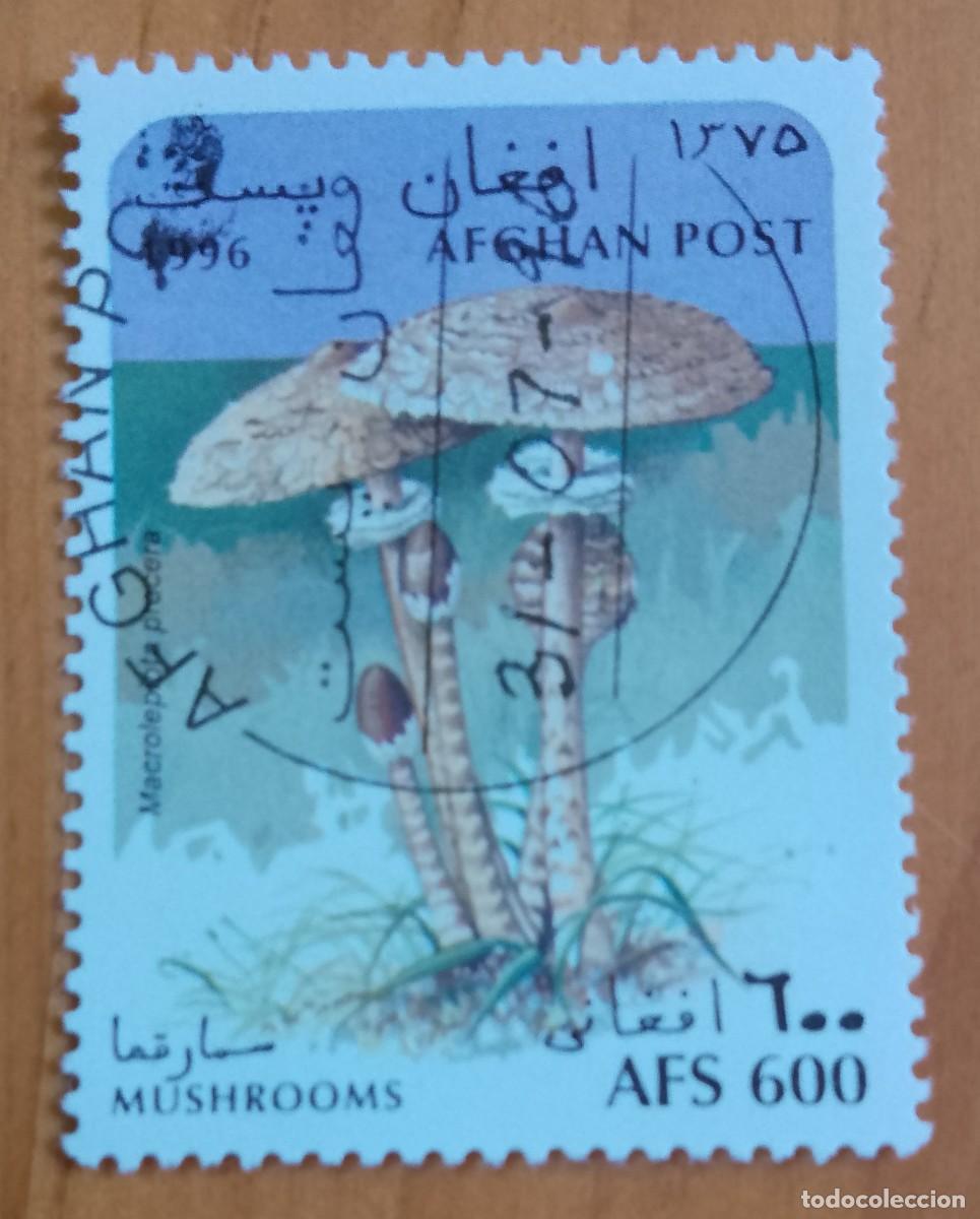Sellos: AFGANIST&Aacute;N - V/F AFS 600 - CHAMPI&Ntilde;ON, HONGOS - CORREO AFGANO - VER DESCRIPCI&Oacute;N