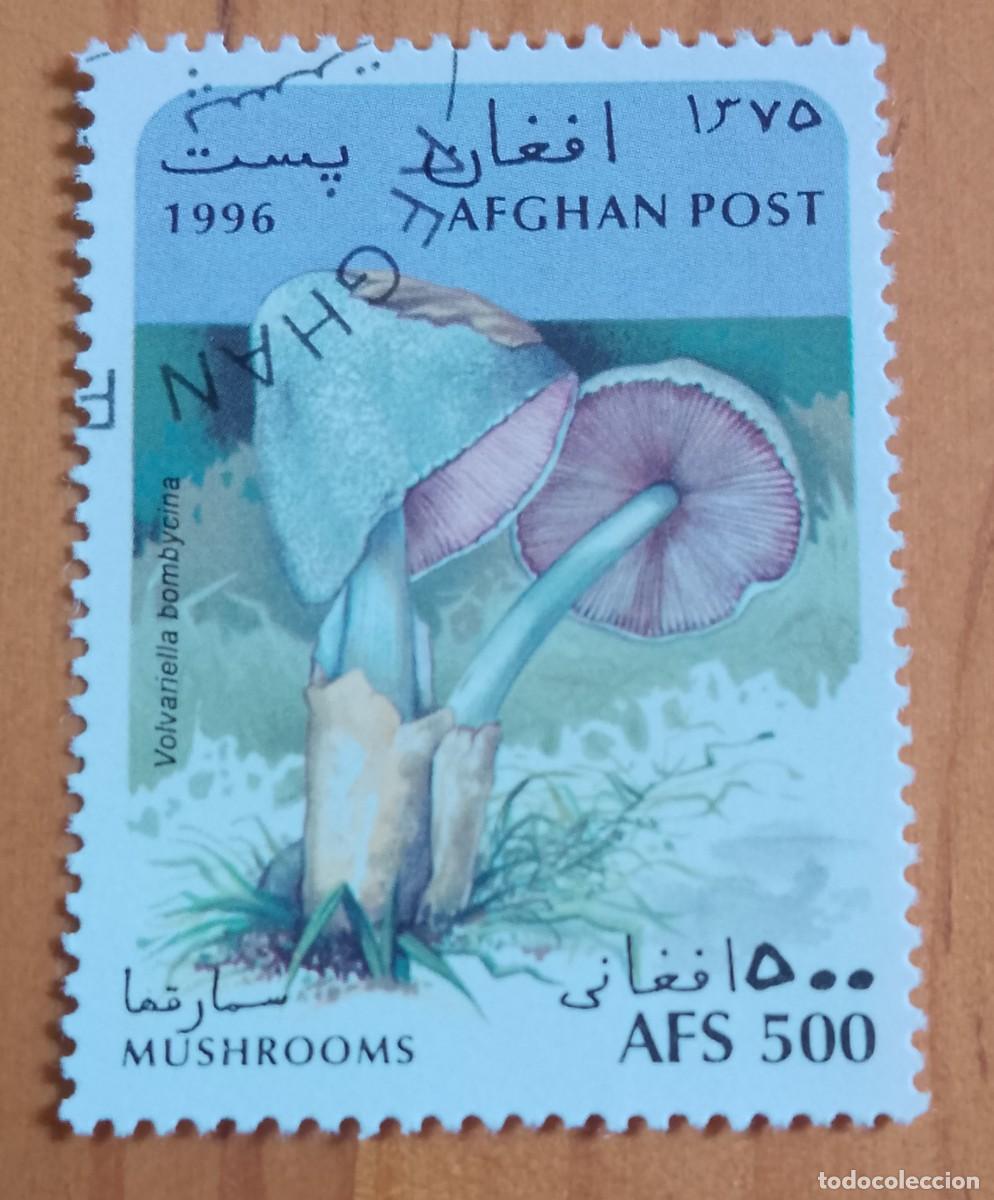 Sellos: AFGANIST&Aacute;N - V/F AFS 500 - CHAMPI&Ntilde;ON, HONGOS, SETAS - CORREO AFGANO - VER DESCRIPCI&Oacute;N