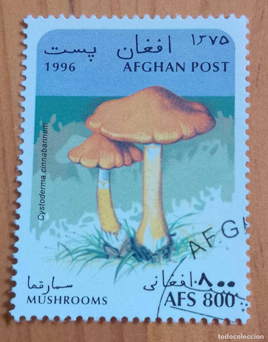 Sellos: AFGANIST&Aacute;N - V/F AFS 800 - CHAMPI&Ntilde;ON, HONGOS, SETAS - CORREO AFGANO - VER DESCRIPCI&Oacute;N