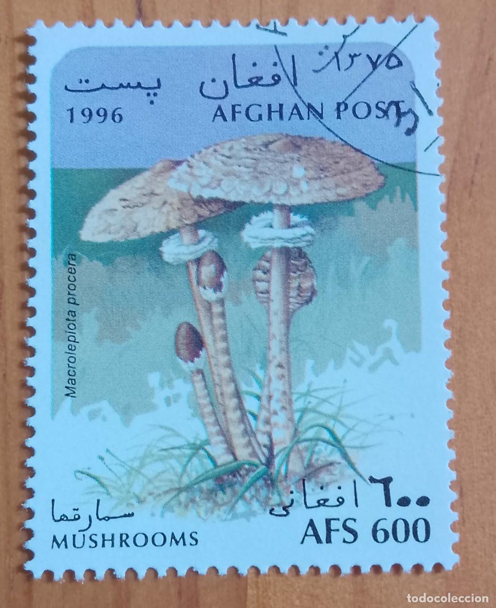 Sellos: AFGANIST&Aacute;N - V/F AFS 800 - CHAMPI&Ntilde;ON, HONGOS, SETAS - CORREO AFGANO - VER DESCRIPCI&Oacute;N